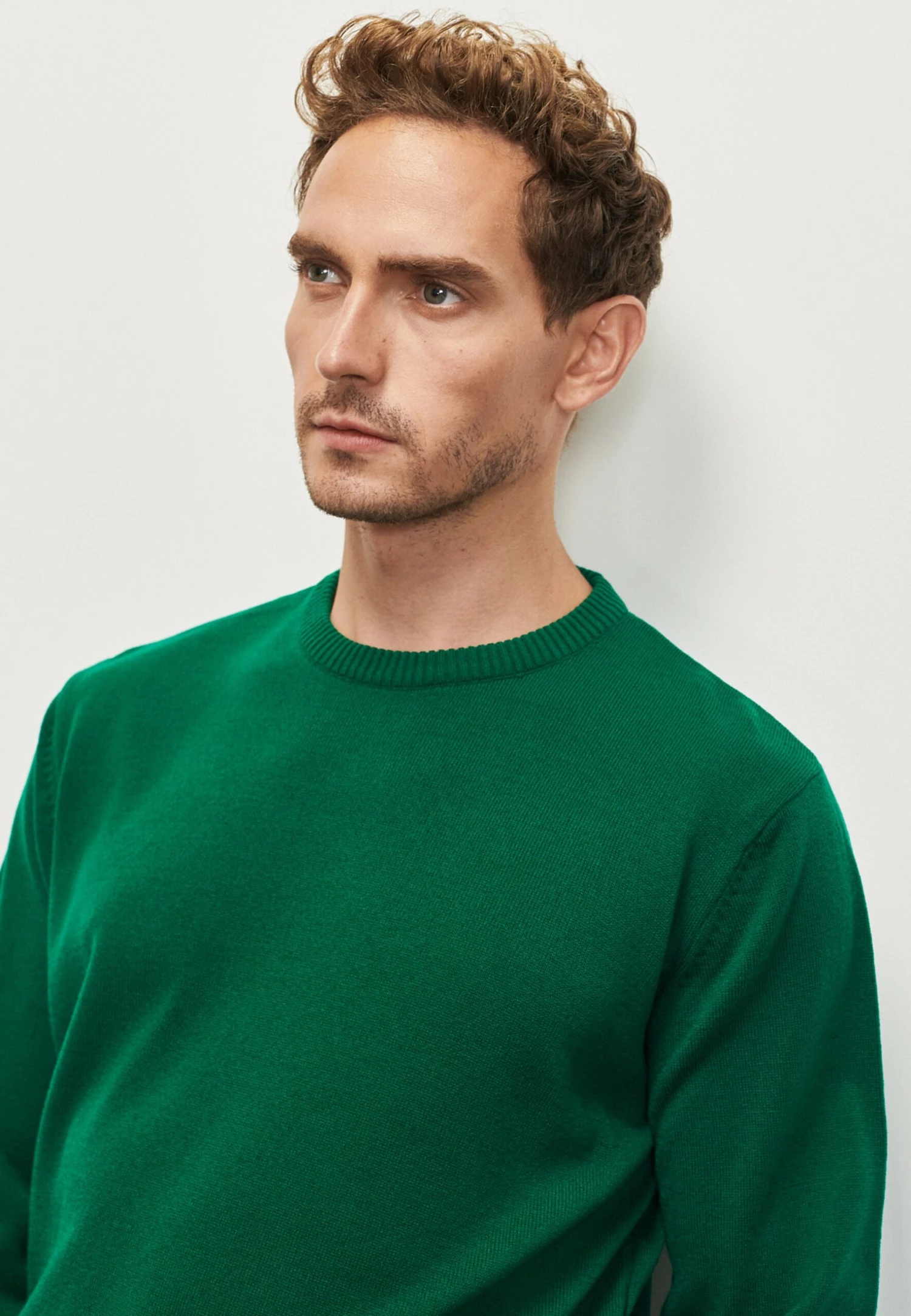 STANDARD FIT - Trui 5 STANDARD FIT - Trui - Afbeelding 3