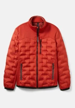 Tom Tailor REGULAR FIT MIT STEPPUNGEN - Jas 13 Tom Tailor REGULAR FIT MIT STEPPUNGEN - Jas -Heren Kleding Winkel 4ae249e772d4435ca87d0d5ecb5cdabe