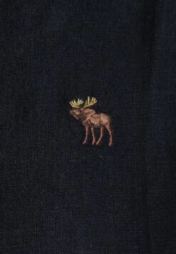 Abercrombie & Fitch ICON - Overhemd 10 Abercrombie & Fitch ICON - Overhemd -Heren Kleding Winkel 54c3fb2cc98e48978e729671ab661abe