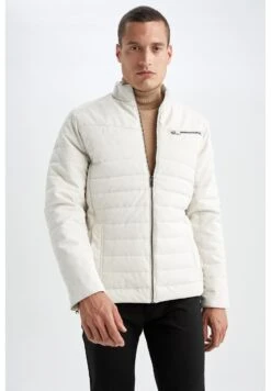 DeFacto SLIM FIT - Imitatieleren Jas