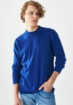 STANDARD BASIC - Trui -Heren Kleding Winkel 6396ea0ad6cd47828164838a3a464aa9