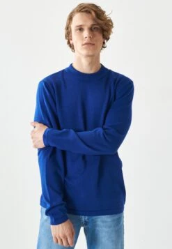 STANDARD BASIC - Trui