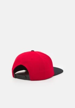 Jordan PRO JUMPMAN SNAPBACK - Pet