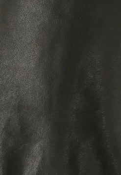 Mustang STEHKRAGEN - Leren Jas 9 Mustang STEHKRAGEN - Leren Jas -Heren Kleding Winkel ae22c451642d489ba4afdb96d1b2b4b6