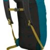 Osprey CINCH PACK - Rugzak -Heren Kleding Winkel bea195515e9f41b39ad6fb4b16e7c478