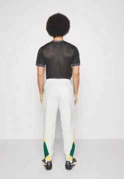 Puma SENEGAL FSF PANTS - Voetbalshirt - Land 8 Puma SENEGAL FSF PANTS - Voetbalshirt - Land -Heren Kleding Winkel c4b9dd98377f45dab3dfb140f13b47ee