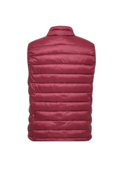 POLO CLUB ULTRALIGHT PAVEL - Bodywarmer 12 POLO CLUB ULTRALIGHT PAVEL - Bodywarmer -Heren Kleding Winkel d0f92df041144e53bd1fd91989af166f
