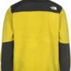 THE NORTH FACE FLEECEJACKE DENALI 2 - Fleecejas 2 THE NORTH FACE FLEECEJACKE DENALI 2 - Fleecejas -Heren Kleding Winkel e727fb11bd86455283b42e5b0a377e9c