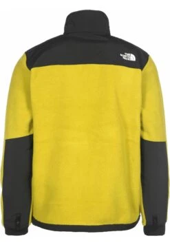 THE NORTH FACE FLEECEJACKE DENALI 2 - Fleecejas