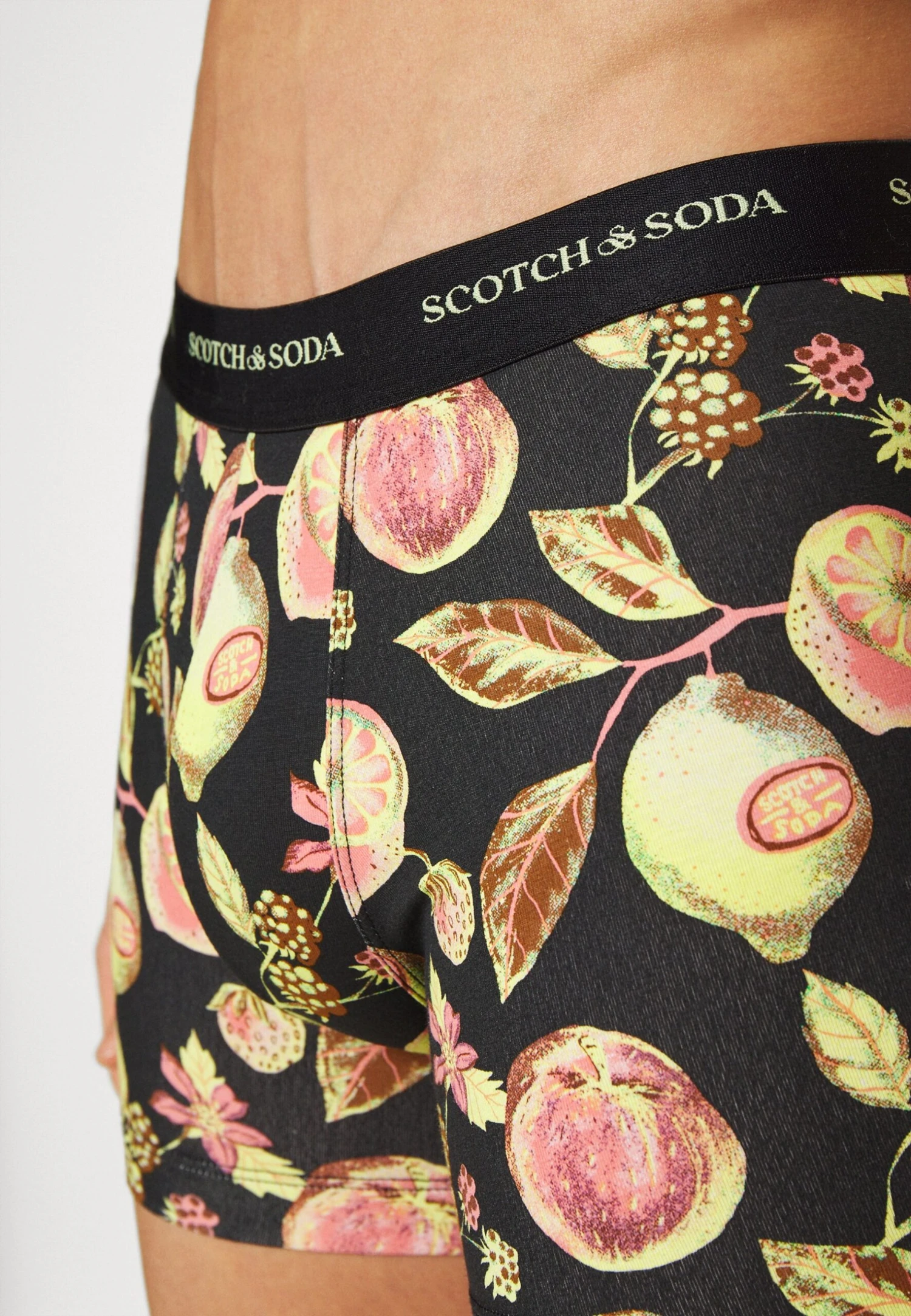 Scotch & Soda MEN ICONIC BOXER 2 PACK - Boxershort 6 Scotch & Soda MEN ICONIC BOXER 2 PACK - Boxershort - Afbeelding 4